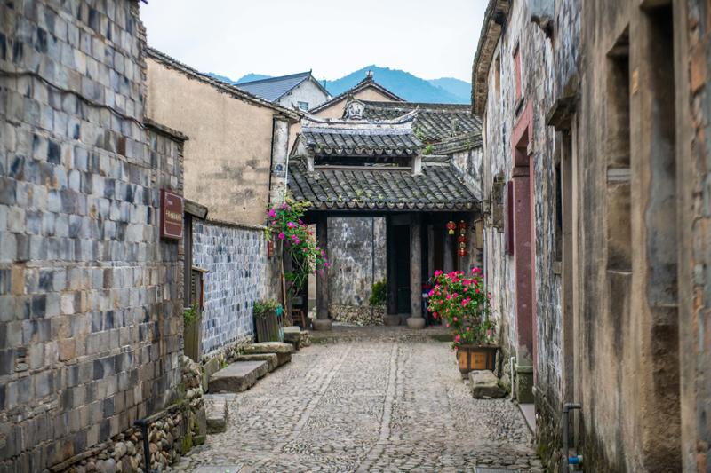 救援卡通小象
